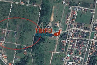 Teren Construcții intravilan de 510 mp, în Ampoi 1