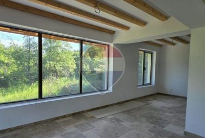 Domeniu Rezidential in Gura Vaii | Conac Mediteranean | 3400 mp - 4