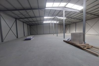 Ovidiu, parc industrial, constructie 2025, 120-1160 mp. - 5