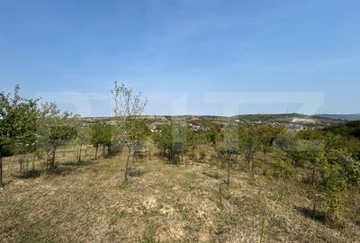 Teren Construcții extravilan de 5800 mp, în Aiud