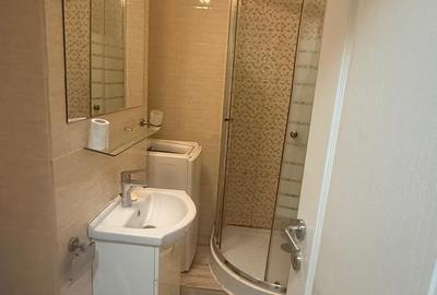 DRISTOR(Benzinaria MOL)-garsoniera, 7/8, mobilata+utilata, 350 euro - 12