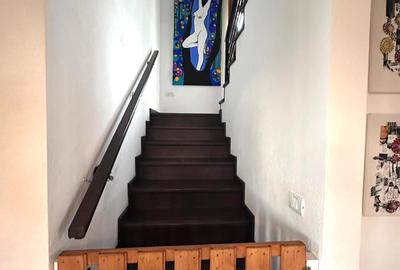 Casa individuala 5 camere -Mosnita Noua- Drumul Boilor - 12