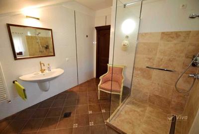 Pădurea Bucium-zona Motel, proprietate de lux la vânzare - 28