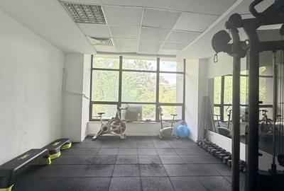 Spațiu comercial / birouri în zona Izvor-Libertatii-Cișmigiu - 7