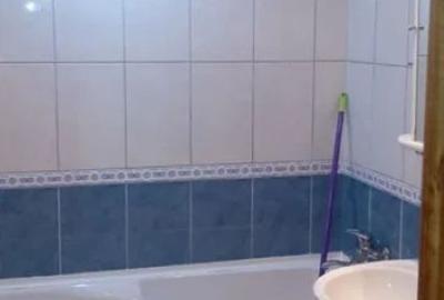 3 camere - Teiul Doamnei - Otesani - 8