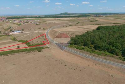 Teren intravilan 8.829 mp, Inel Metropolitan Oradea, Cihei, de vânzare - 7