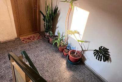 Apartament 4 camere decomandat Piata Iancului - 5