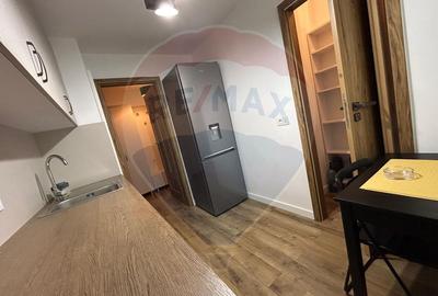 DOMENII 3 camere | PRIMA Inchiriere Decomandat | Parter Inalt - 10
