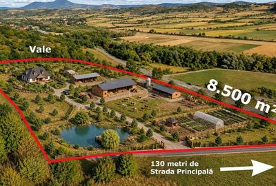 VIDEO | Super view | Teren 8.500 m² in Maramures | Viitorul tau colt de liniste - 7