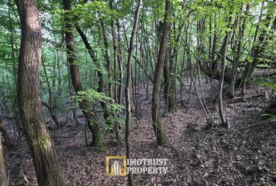 De vânzare teren extravilan  8,2037 ha pădure și pășune Borod, Bihor - 9