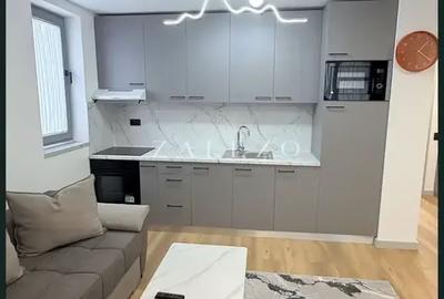 Apartament deosebit cu 2 camere | calea Torontalului - 2