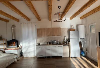 Cabană de vânzare, Muntele Rece, teren 4000mp - 3