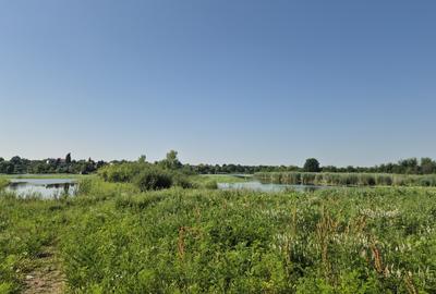 Izvorani - Teren cu deschidere generoasă la lacul Snagov - 4