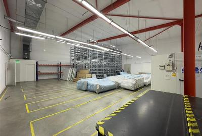 Hala, showroom birouri Pacurari rond Mall Moldova de la 40mp la 1000mp - 17