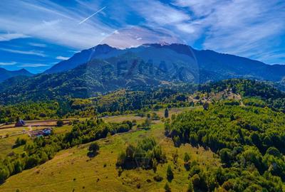 Teren 1,574mp Rasnov, Strada Valea Panicelului- varf de deal - 4