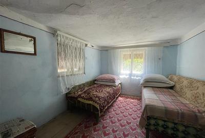 CASA LA TARA | 6770MP TEREN | JOSANI | BIHOR | - 10