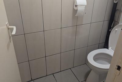 Casă individuală de închiriat – Herăstrău | 4 camere | Curte proprie | Parcare - 16