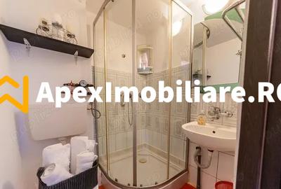 Garsoniera de inchiriat Gara de Nord București | ApexImobiliare.ro - 7