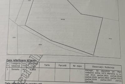 Teren extravilan  în Jud. Caras-Severin, Mehadia, suprafața 5808 mp - 1