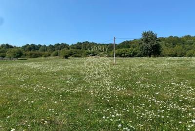 Teren 11.000 mp-ideal cabana/ferma-Unirea-Valea Slatinitei - 1