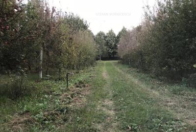 Teren la Strada EUROPEANA , CU TOATE UTILITATILE parcele de case - 7