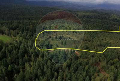 Teren extravilan parcelabil Călățele Pădure, zona Dealu Negru - 4