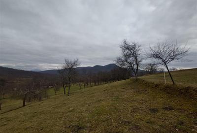 Teren intravilan si extravilan Luncoiu de Jos - 12