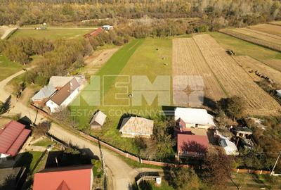 Casă bătrânească cu 5.062 mp teren - 3