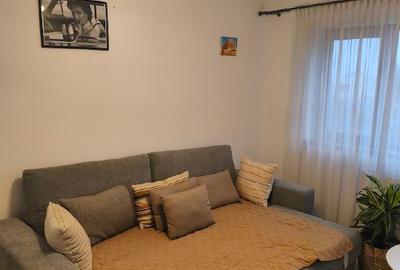 Inchiriere Camera la Curte Comuna 1 Decembrie Green City . - 1