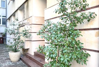 Primaverii / Apartament cu View Supeb / Centrala Proprie / Parcare Subterana - 3