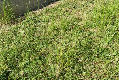 Casa 5 camere constructie noua RASNOV - 19