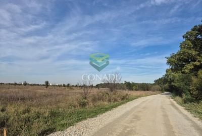 Teren Construcții intravilan de 7500 mp, în Băneasa