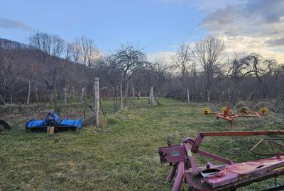 Casă cu 4 camere, suprafață 110 mp + teren 2.200 mp, Vărzarii de Jos - 10