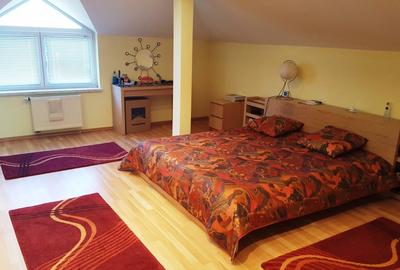 Drumul Negru - Pipera, vila P+1E, locatie linistita - 10