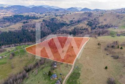 Teren de vanzare Sirnea- Comision 0% - 1