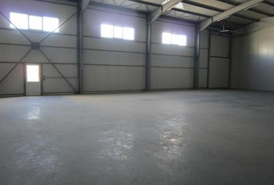 ZONA EST - Theodor Pallady - DRUMUL INTRE TARLALE - A2 - 4