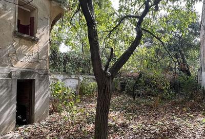 VILA INDIVIDUALA CISMIGIU | INTR. TEMISANA - 7