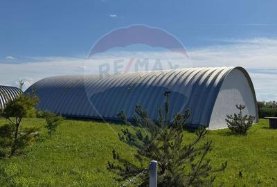 4 HALE INDUSTRIALE INDIVIDUALE SUPRAFATA TOTALA 1.407 mp, Acces DN 1 - 19