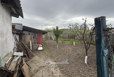 CASA VOINESTI P+1 TEREN 1000 MP - 25