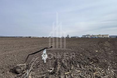 Teren intravilan de vânzare – 10.000 mp – Zona Industrială Vest | Comision 0% - 6