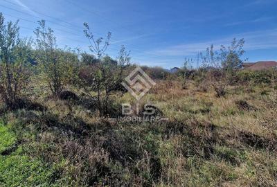 Teren Intravilan  Unirea 1700mp - 9