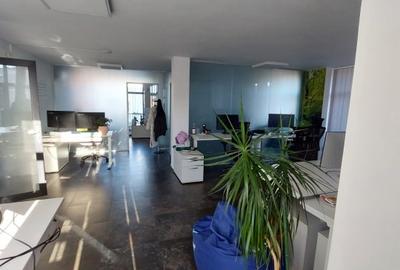 Casa individuala, ideal sediu firma in Andei Muresanu - 8