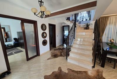 Casa de Vis, Serbanesti - 15