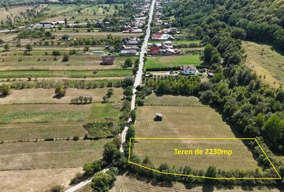 Teren superb de Vanzare in Darmanesti, Bacau - 2