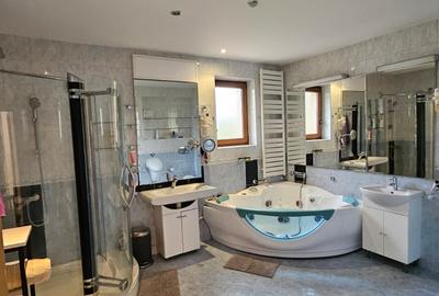 Vilă deosebită D+P+1E+P/ zona exclusivistă/Iancu Nicolae - 13