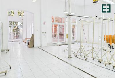 Spațiu comercial / industrial - 9 camere - Zona Elisabetin - Timișoara - 4