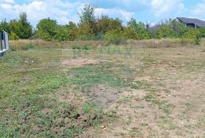 Teren 1,070mp Corbeanca / Strada Ghioceilor - 2