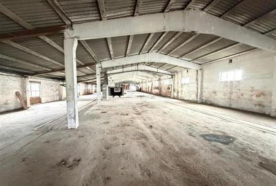 HALE INDUSTRIALE | CLADIRE BIROURI | TEREN 7000 MP | GHEGHIE BIHOR - 4