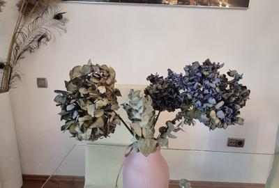 Inchiriez apartament 3 camere - 11