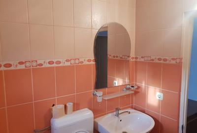 Chirie apartament cu o camera Bradet mobilat utilat 1000lei /luna - 6